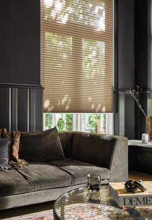 Moderne plissé gordijnen in een woonkamer | LPN 6157